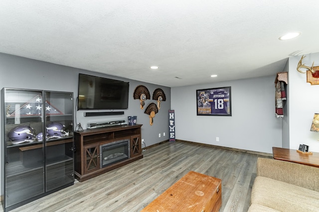 1000 17th St SW, Austin, MN 55912 - living area featuring wood finished floors, recessed lighting, baseboards, and a textured ceiling