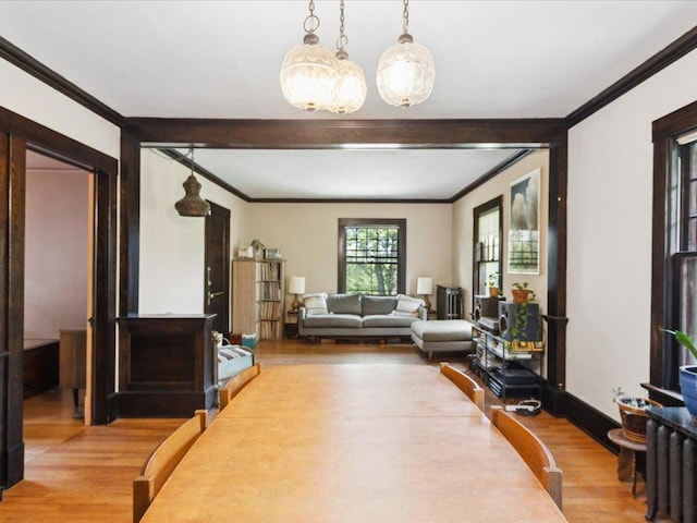 928 Franklin Ter, Minneapolis, MN 55406 - living area featuring light wood-style flooring, crown molding, and a chandelier