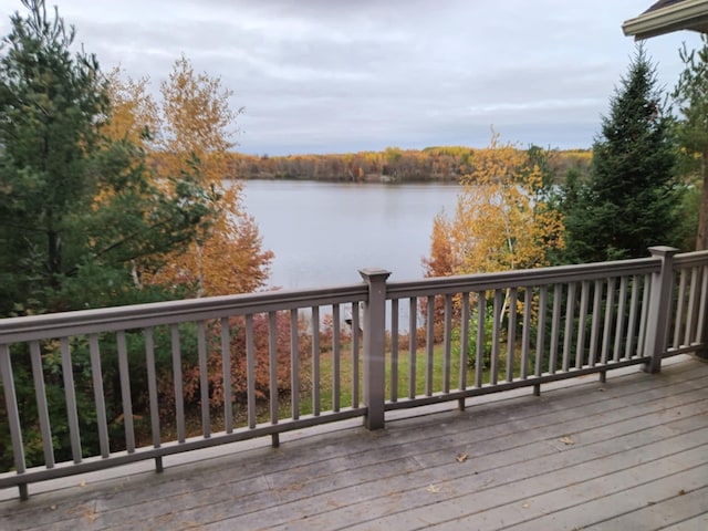 29939 Pequot Blvd, Pequot Lakes, MN 56472 - photo 30