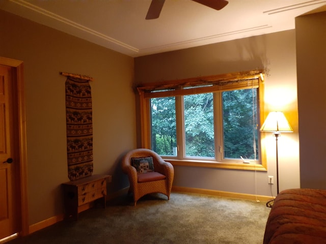 29939 Pequot Blvd, Pequot Lakes, MN 56472 - photo 33