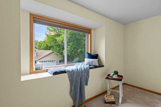 1022 17th Ave SE, Forest Lake, MN 55025 - living area featuring carpet and baseboards