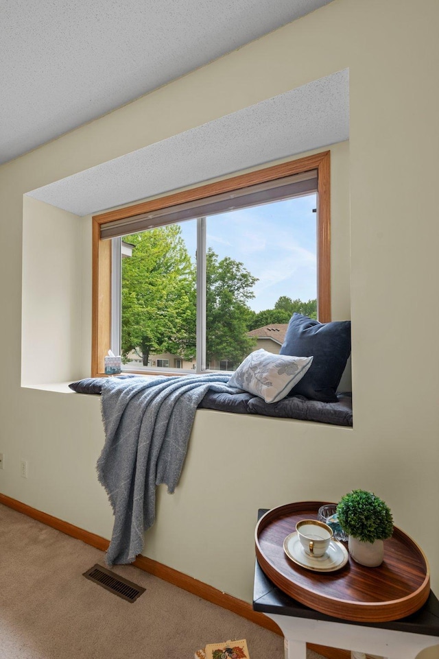 1022 17th Ave SE, Forest Lake, MN 55025 - detailed view of carpet and baseboards