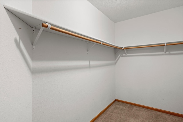 1022 17th Ave SE, Forest Lake, MN 55025 - spacious closet featuring carpet flooring