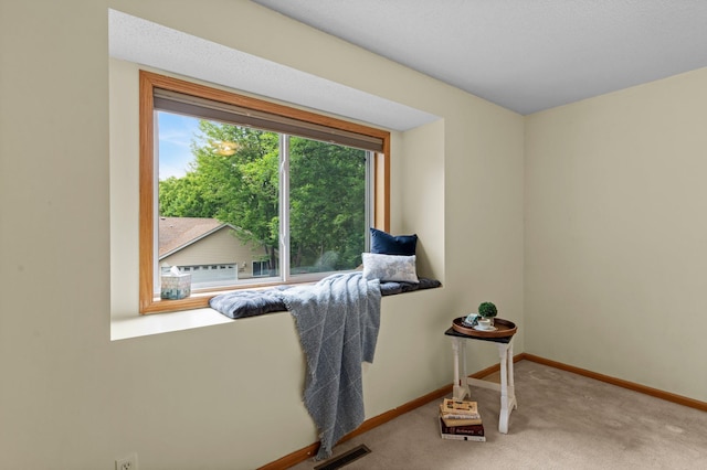 1022 17th Ave SE, Forest Lake, MN 55025 - living area with carpet flooring and baseboards
