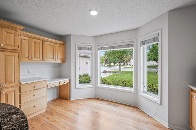 2600 Parkview Ct, White Bear Twp, MN 55110 - kitchen with light wood-type flooring, a textured ceiling, plenty of natural light, and baseboards