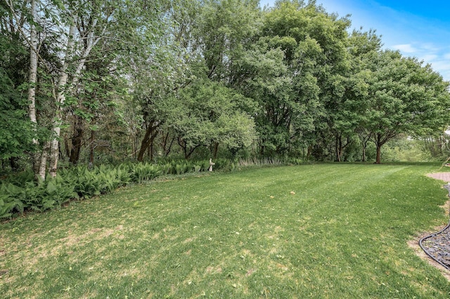 2600 Parkview Ct, White Bear Twp, MN 55110 - view of grassy yard