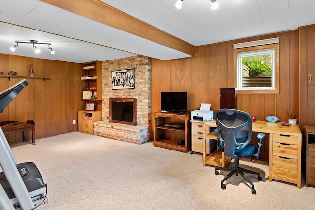 6504 Warren Ave S, Edina, MN 55439 - home office featuring carpet, wooden walls, a brick fireplace, and rail lighting