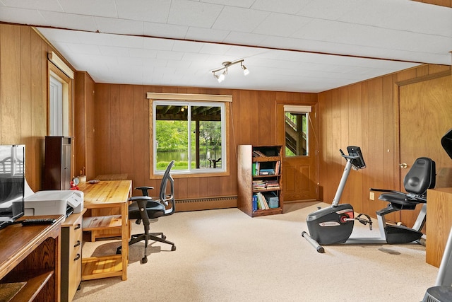 6504 Warren Ave S, Edina, MN 55439 - carpeted home office with a baseboard radiator and wood walls