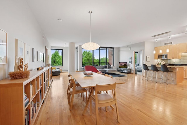 215 10th Ave S Unit 312, Minneapolis, MN 55415 - dining space with light wood finished floors, baseboard heating, and track lighting