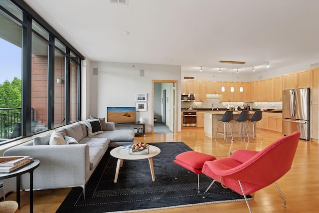 215 10th Ave S Unit 312, Minneapolis, MN 55415 - living area with plenty of natural light and light wood-style floors