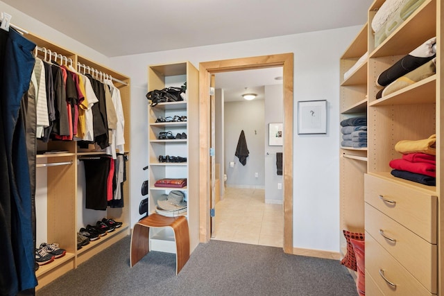 215 10th Ave S Unit 312, Minneapolis, MN 55415 - spacious closet with light carpet and light tile patterned floors