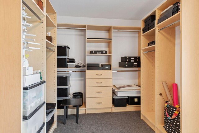 215 10th Ave S Unit 312, Minneapolis, MN 55415 - spacious closet featuring carpet flooring