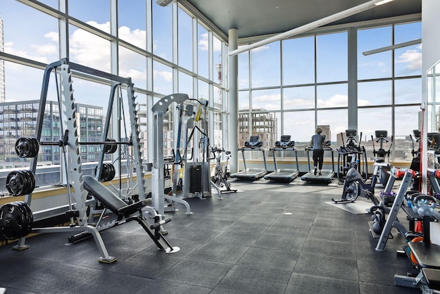 215 10th Ave S Unit 312, Minneapolis, MN 55415 - gym featuring healthy amount of natural light, a high ceiling, expansive windows, and a view of city