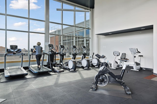 215 10th Ave S Unit 312, Minneapolis, MN 55415 - workout area featuring a towering ceiling and expansive windows