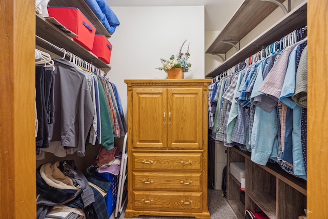 14450 Blackberry Ct, Baxter, MN 56425 - spacious closet with carpet flooring
