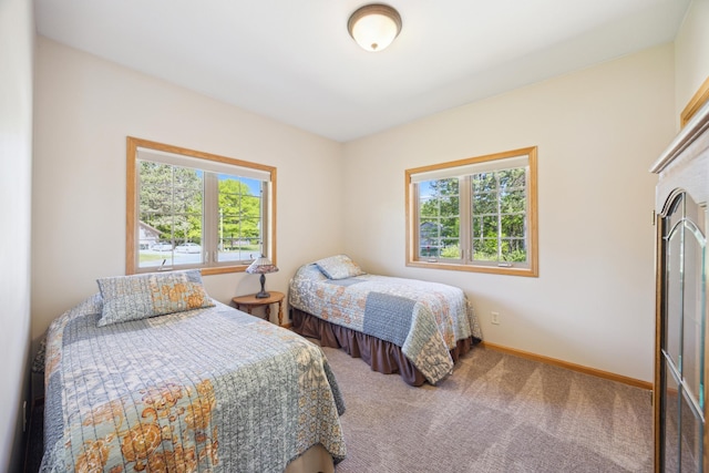 14450 Blackberry Ct, Baxter, MN 56425 - bedroom with multiple windows, carpet, and baseboards