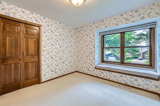 1321 Dallager Ct, Stillwater, MN 55082 - spare room with wallpapered walls, carpet floors, baseboards, and a textured ceiling