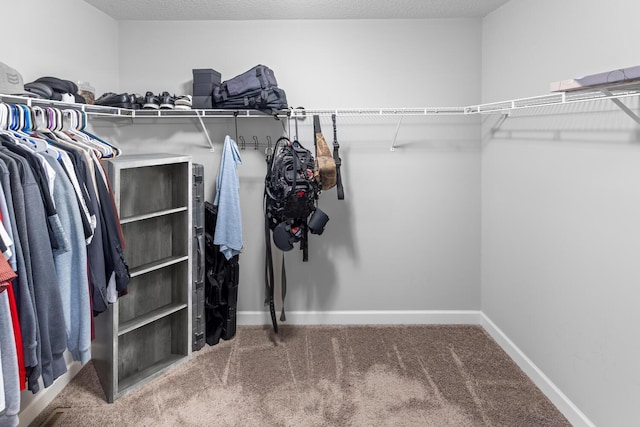 7121 208th St N, Forest Lake, MN 55025 - spacious closet featuring carpet floors