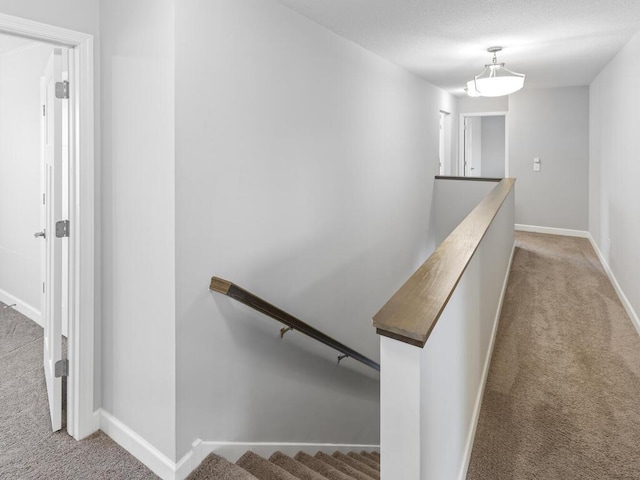 7121 208th St N, Forest Lake, MN 55025 - stairs with carpet and baseboards
