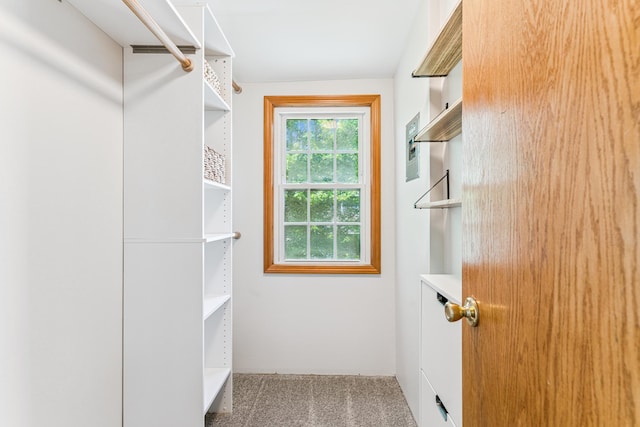 5640 13th Ave S, Minneapolis, MN 55417 - walk in closet with carpet floors