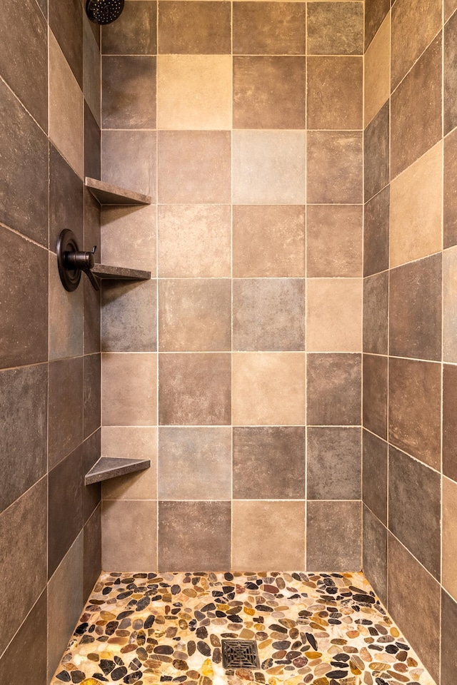 2053 45th St SE, Saint Cloud, MN 56304 - bathroom featuring tiled shower
