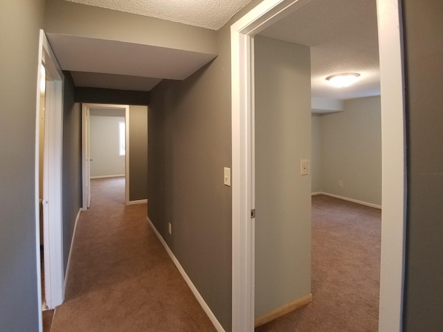 732 Vernon Ave NW, Elk River, MN 55330 - hall featuring carpet flooring, baseboards, and a textured ceiling