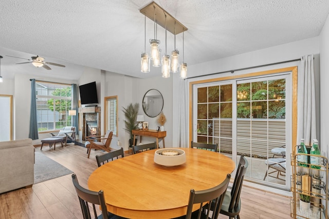 1297 124th Ave NE, Blaine, MN 55434 - dining room with a textured ceiling, a ceiling fan, light wood-style floors, and a glass covered fireplace