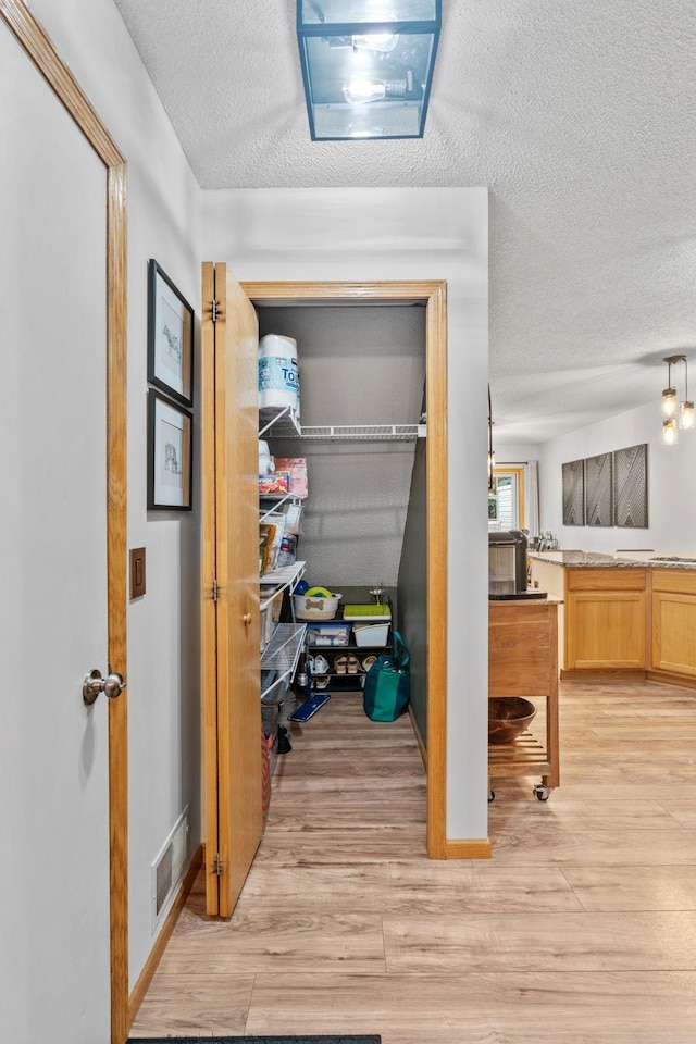1297 124th Ave NE, Blaine, MN 55434 - view of closet