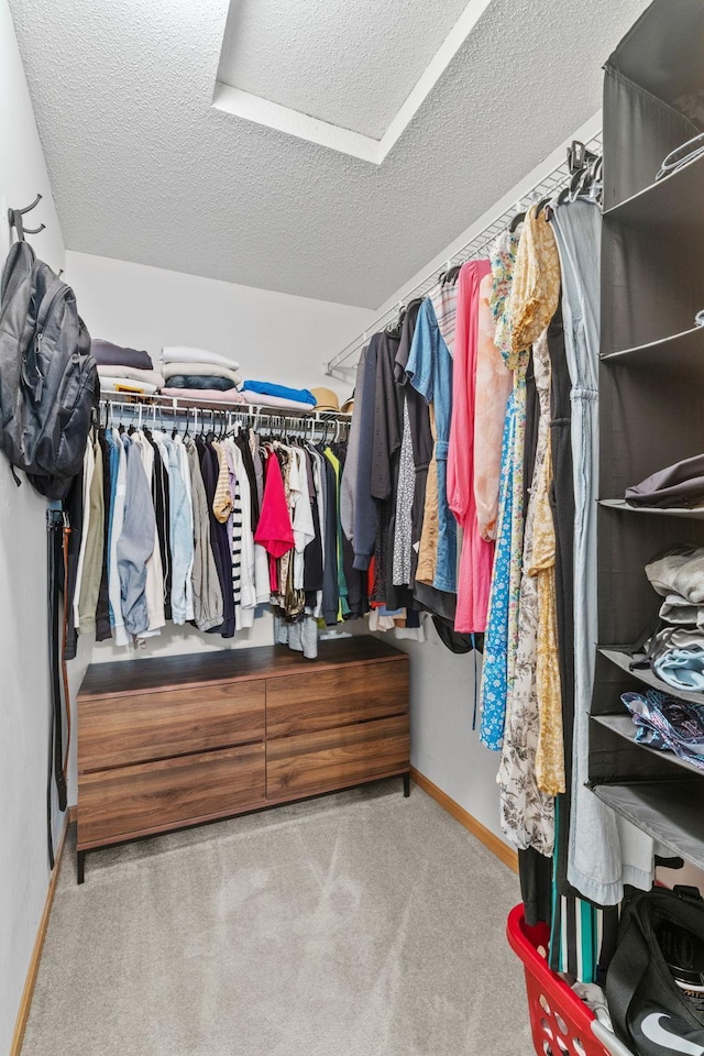 1297 124th Ave NE, Blaine, MN 55434 - walk in closet with carpet