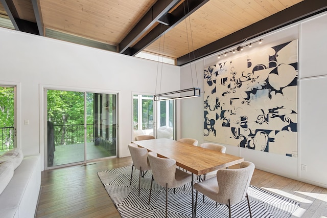 18101 Woolman Dr, Minnetonka, MN 55345 - dining space featuring track lighting, hardwood / wood-style floors, and wooden ceiling with exposed beams