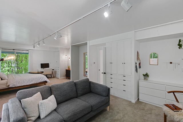 18101 Woolman Dr, Minnetonka, MN 55345 - bedroom featuring rail lighting and light colored carpet