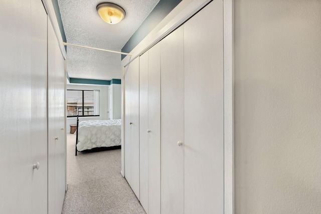 20 2nd St NE Unit P1008, Minneapolis, MN 55413 - corridor featuring a textured ceiling and light carpet