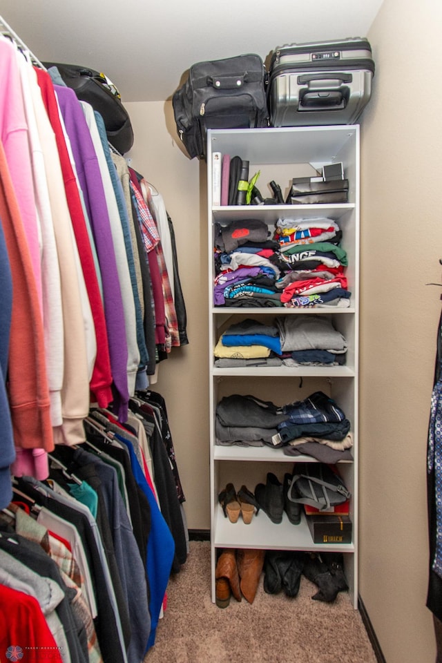 4110 Clubhouse Dr S, Fargo, ND 58104 - spacious closet with carpet