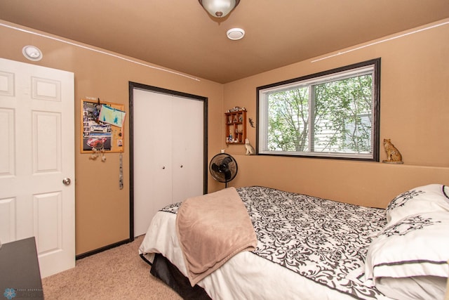 4110 Clubhouse Dr S, Fargo, ND 58104 - carpeted bedroom with a closet