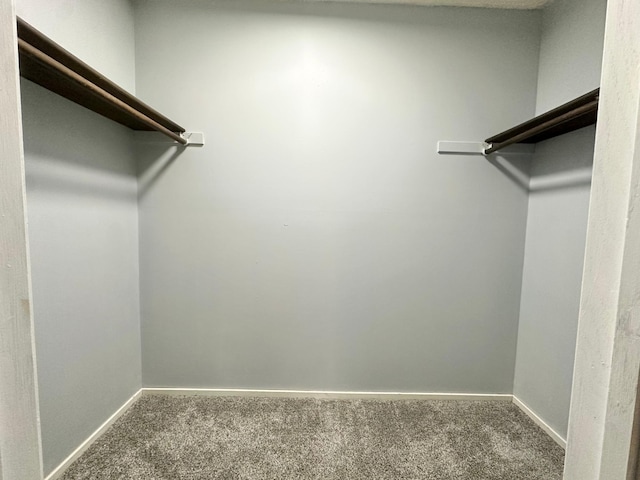 9329 Bass Creek Cir N, New Hope, MN 55428 - spacious closet featuring carpet floors