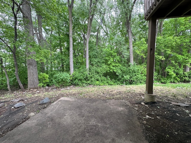 9329 Bass Creek Cir N, New Hope, MN 55428 - view of yard featuring a patio area