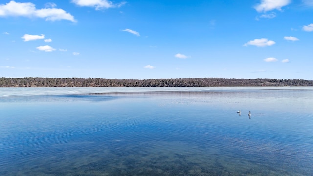 2648 Lake Shore Dr, Scandia Valley Twp, MN 56466 - water view with a forest