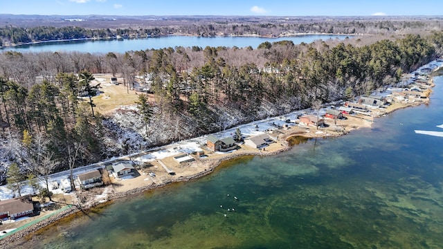 2648 Lake Shore Dr, Scandia Valley Twp, MN 56466 - aerial view of a forest and a nearby body of water