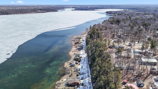 2648 Lake Shore Dr, Scandia Valley Twp, MN 56466 - aerial view of a large body of water and a forest