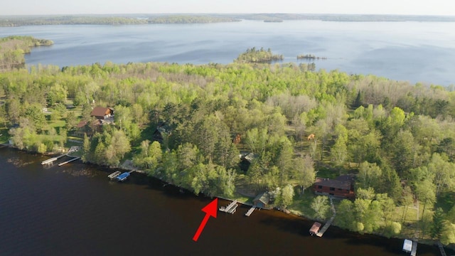 1880 Everett Rd S, Greenwood Twp, MN 55790 - aerial view of property and surrounding area featuring a large body of water and a forest