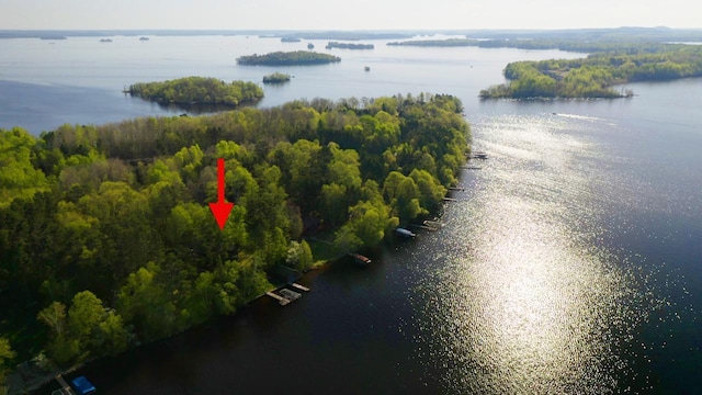 1880 Everett Rd S, Greenwood Twp, MN 55790 - bird's eye view of a large body of water and a forest