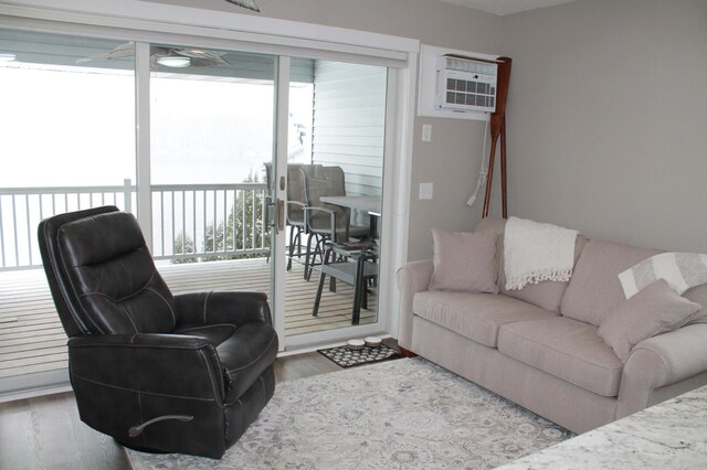 600 Main St W Unit 206, Wabasha, MN 55981 - living room featuring an AC wall unit and wood finished floors