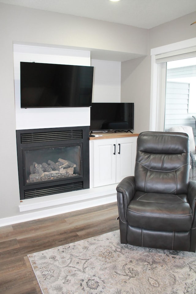 600 Main St W Unit 206, Wabasha, MN 55981 - living room featuring wood finished floors and a glass covered fireplace