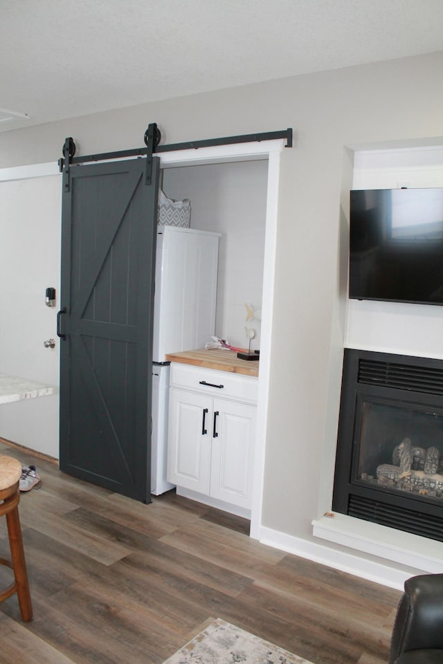 600 Main St W Unit 206, Wabasha, MN 55981 - detailed view of wood finished floors, baseboards, and a glass covered fireplace