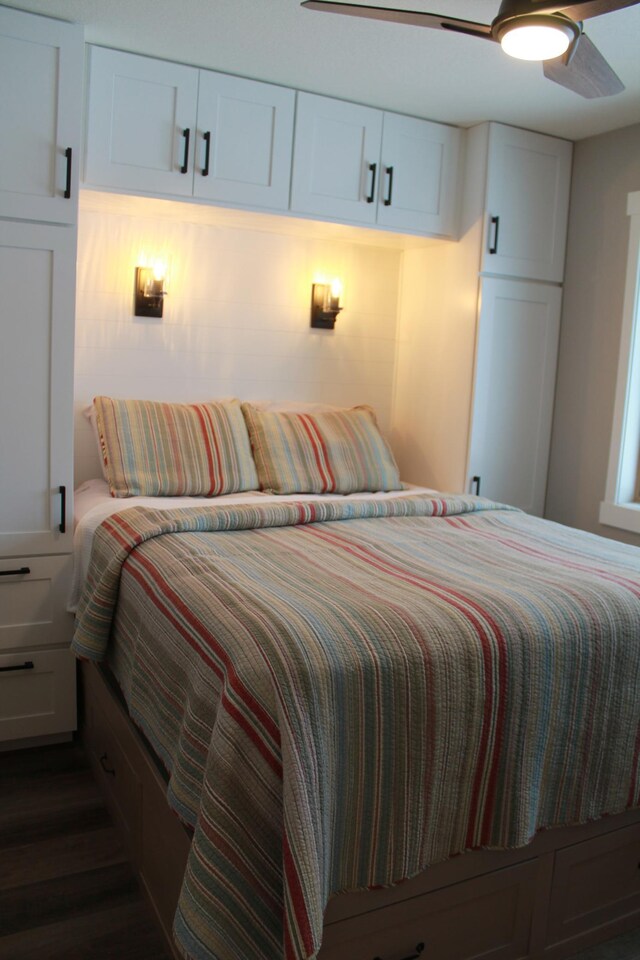 600 Main St W Unit 206, Wabasha, MN 55981 - bedroom featuring a ceiling fan and dark wood-style flooring