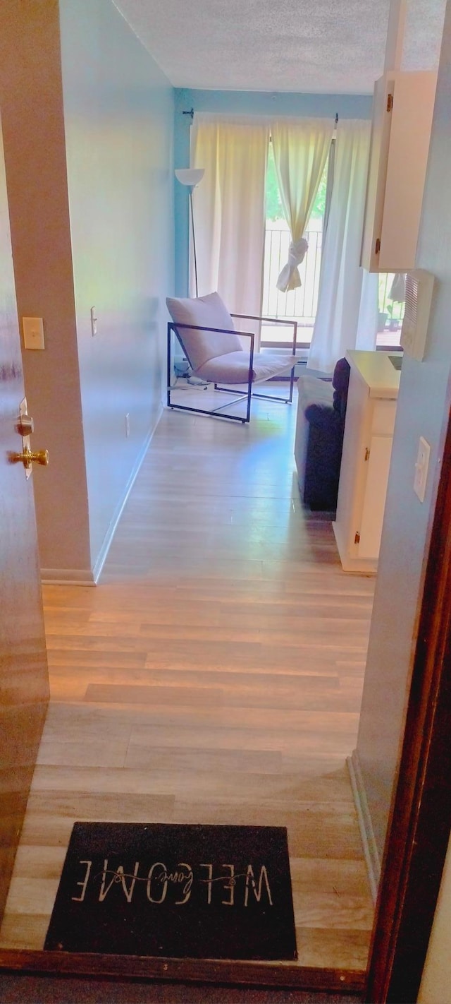4130 Rahn Rd Unit 106, Eagan, MN 55122 - corridor with light wood-style flooring and baseboards