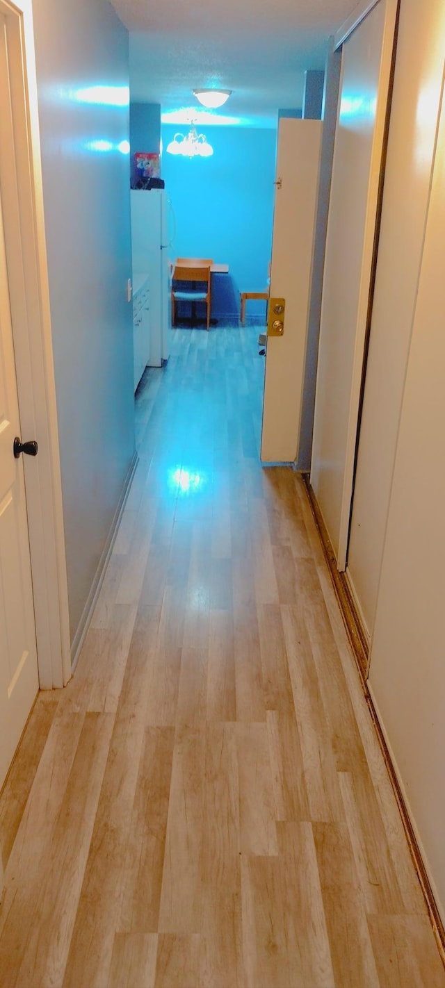 4130 Rahn Rd Unit 106, Eagan, MN 55122 - hall with light wood-style floors
