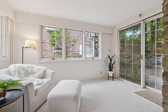 4378 Browndale Ave, Edina, MN 55424 - view of sunroom / solarium