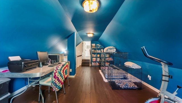 19334 105th Ave, Hayland Twp, MN 56353 - home office with hardwood / wood-style flooring and vaulted ceiling