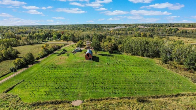 19334 105th Ave, Hayland Twp, MN 56353 - overview of rural landscape with rows of crops
